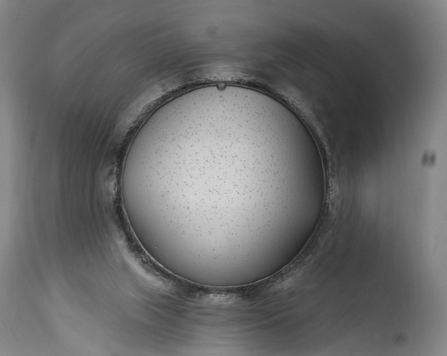 X0000115290063200911161643