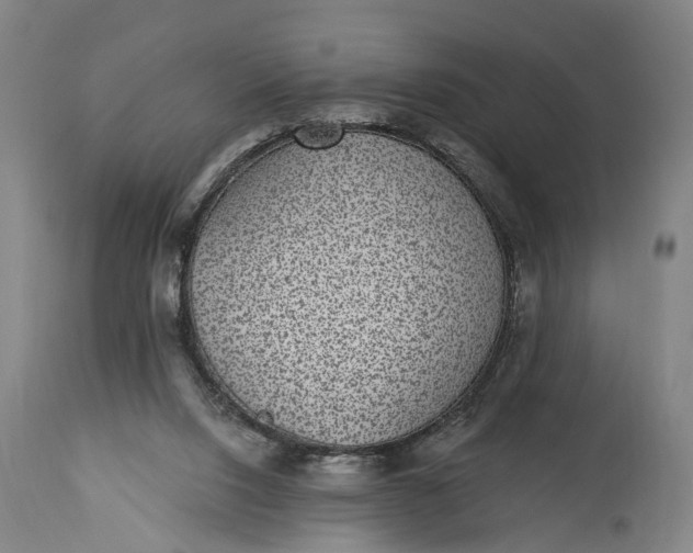 X0000115290064200911161643