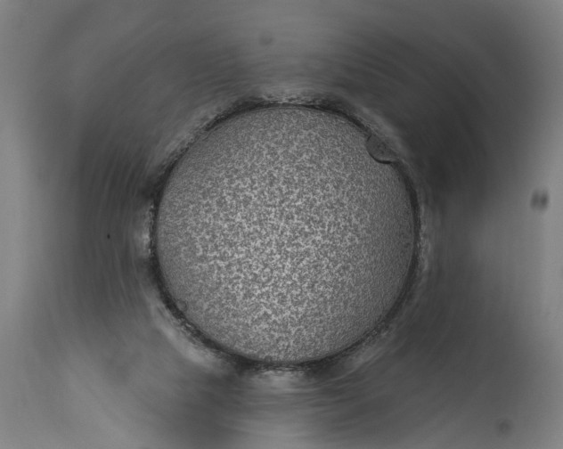 X0000115290065200911161643