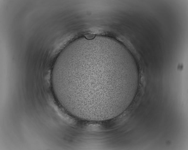 X0000115290066200911161643