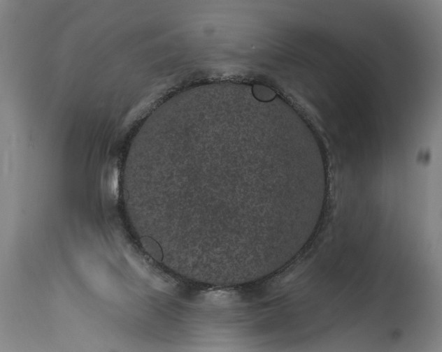 X0000115290067200911161643