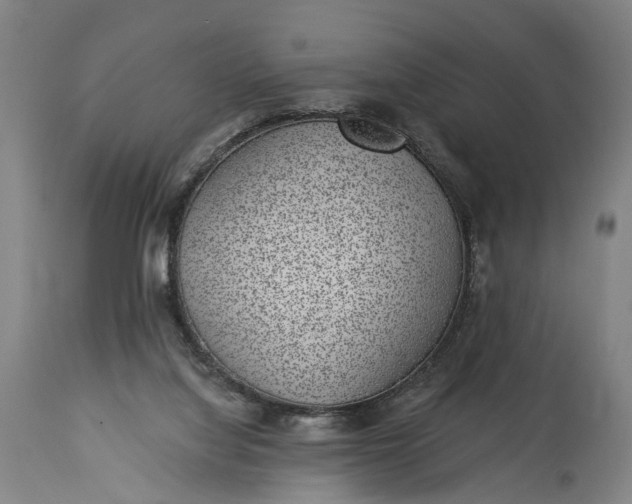 X0000115290068200911161643