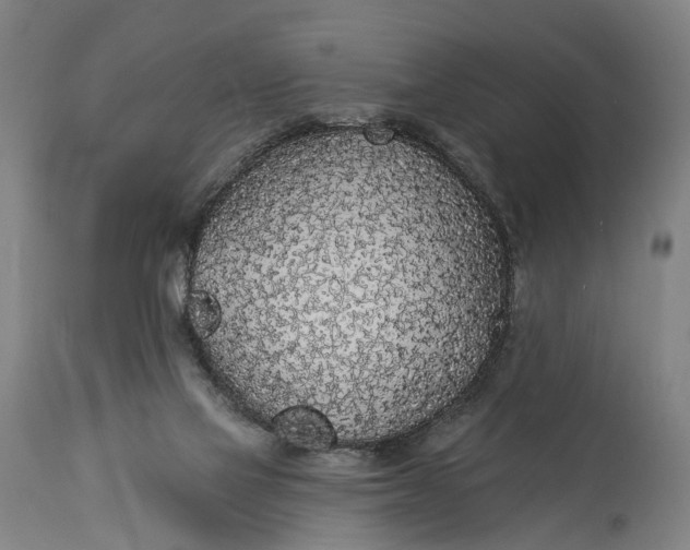 X0000115290069200911161643