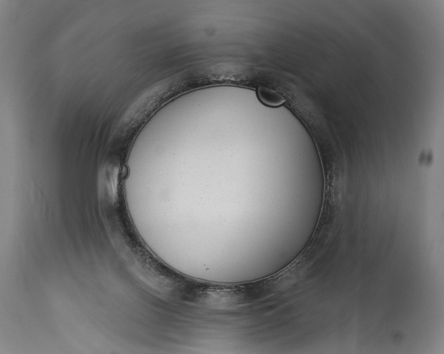X0000115290070200911161643