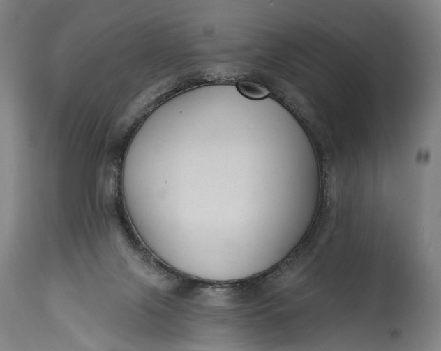 X0000115290071200911161643