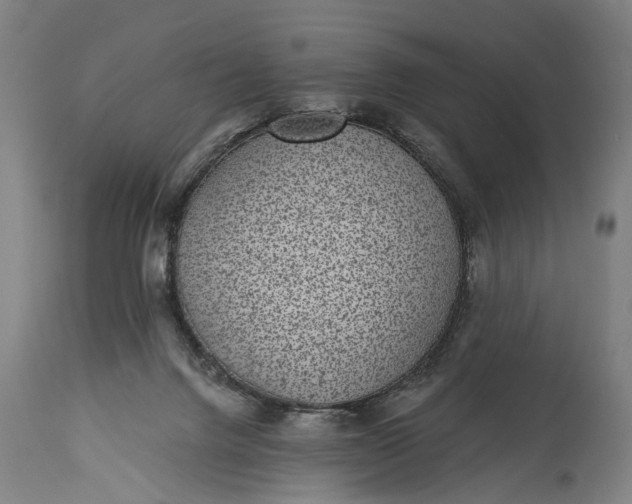 X0000115290072200911161643