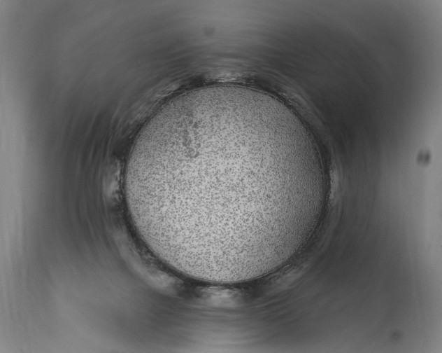 X0000115290073200911161643
