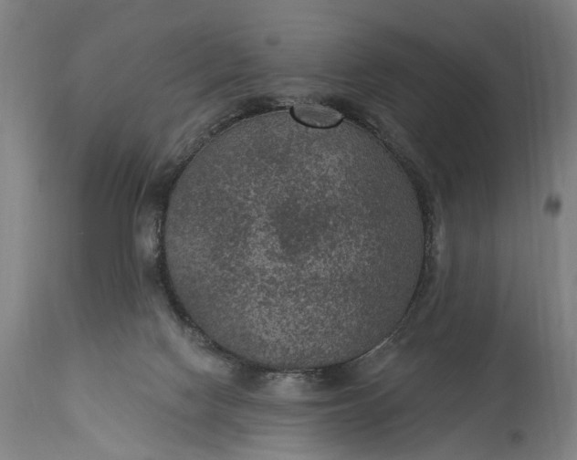 X0000115290074200911161643