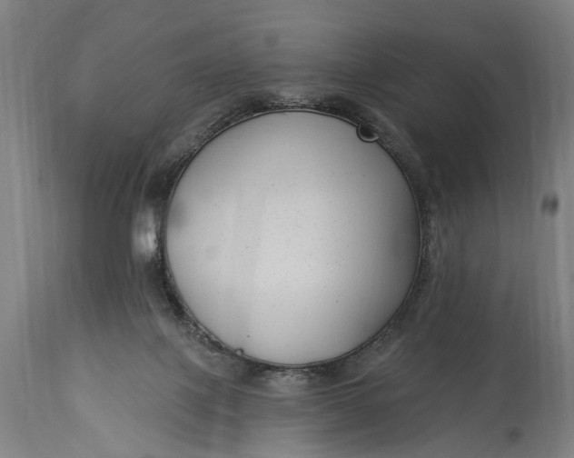 X0000115290075200911161644