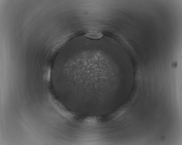 X0000115290076200911161644