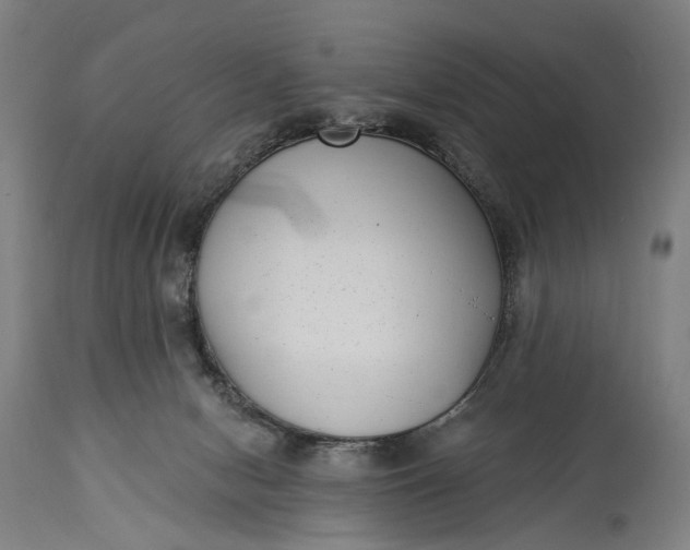 X0000115290078200911161644