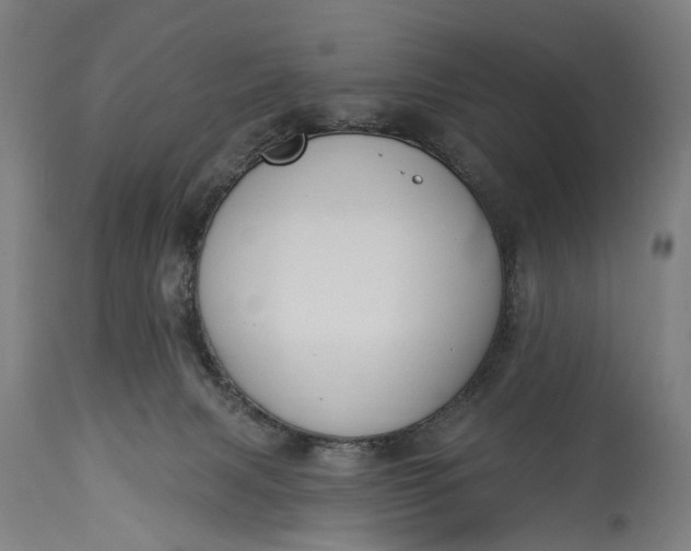 X0000115290079200911161644