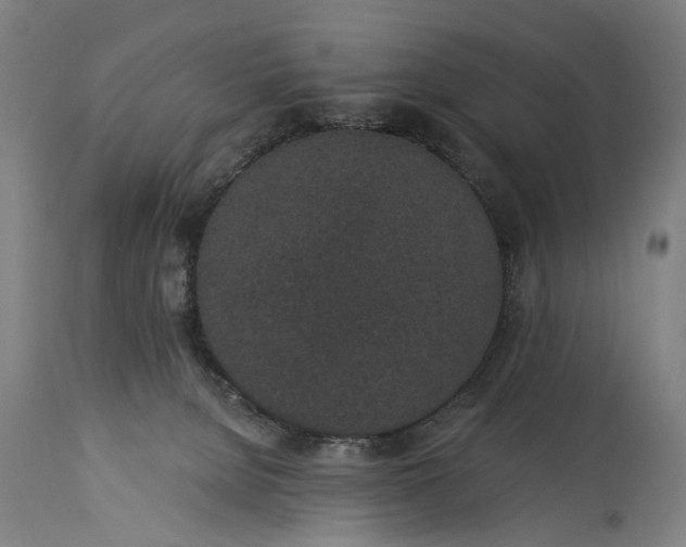 X0000115290080200911161644