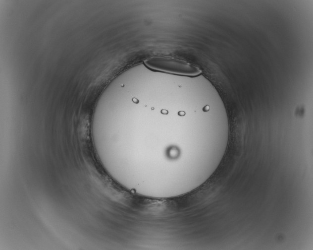 X0000115290083200911161644