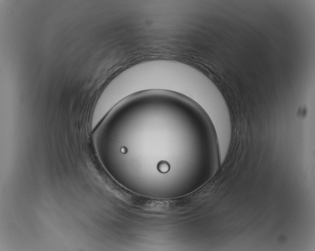X0000115290084200911161644