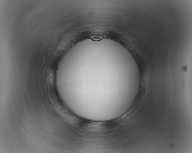 X0000115290086200911161644
