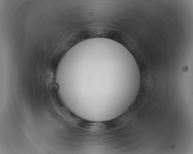 X0000115290087200911161644