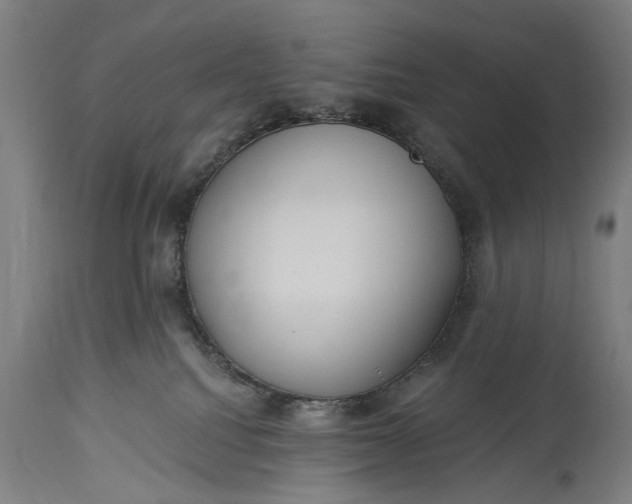 X0000115290088200911161644