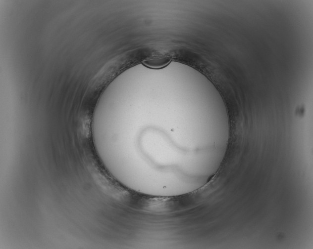 X0000115290090200911161644