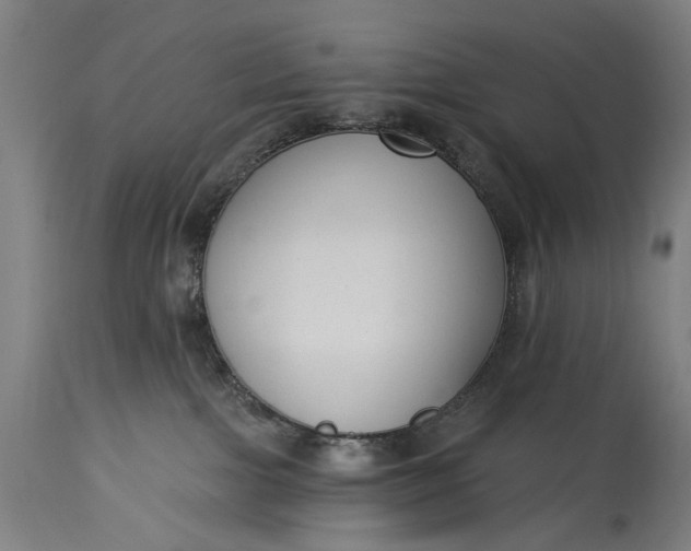 X0000115290091200911161644