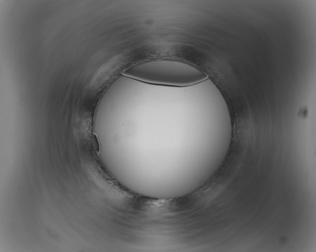 X0000115290092200911161644