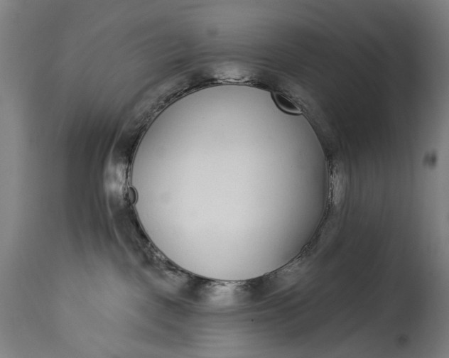 X0000115290093200911161644