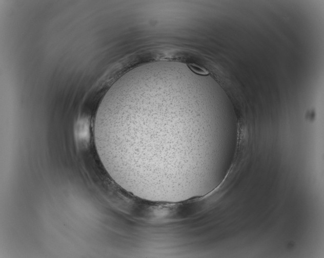 X0000115290094200911161644
