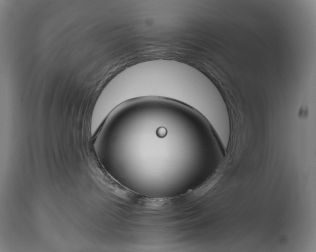 X0000115290096200911161644