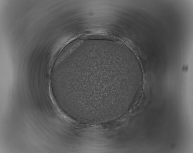 X0000115290097200911161643