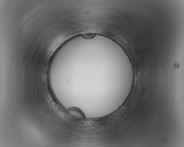 X0000115290098200911161643