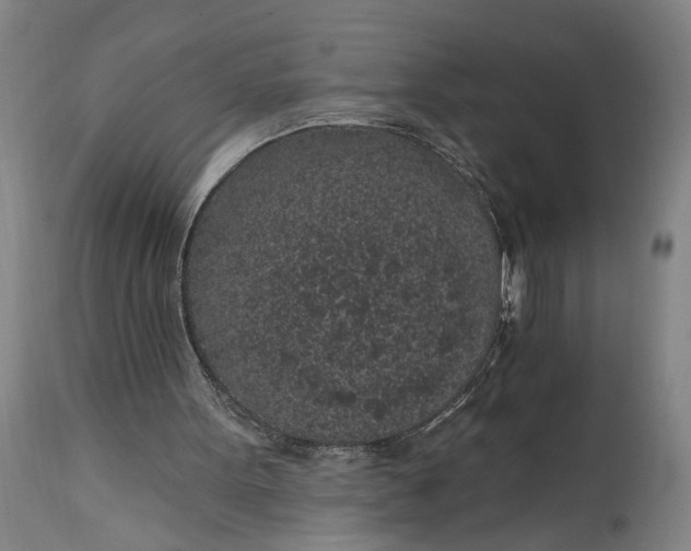 X0000115290099200911161643