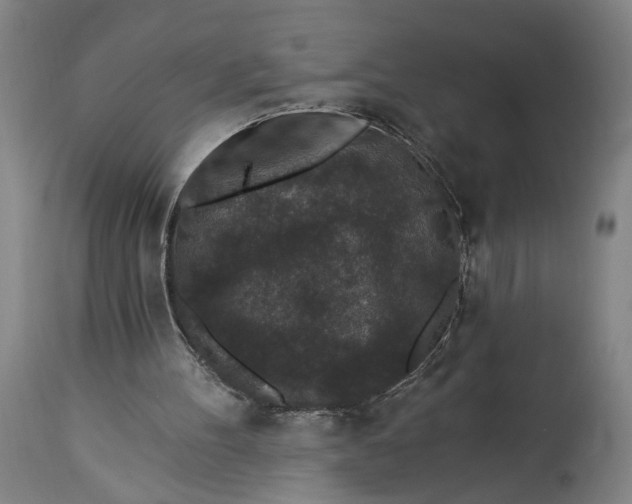 X0000115290100200911161643