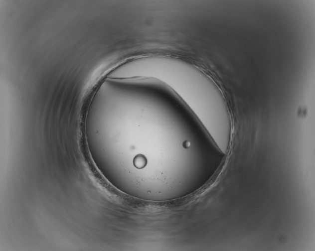 X0000115290101200911161643