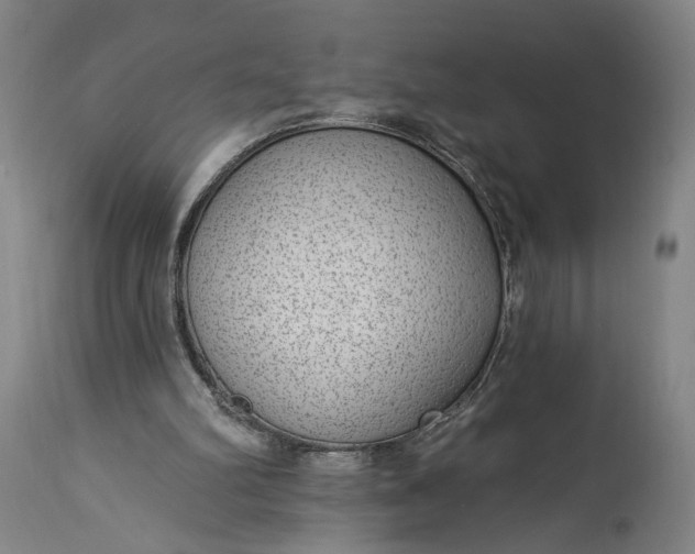 X0000115290102200911161643