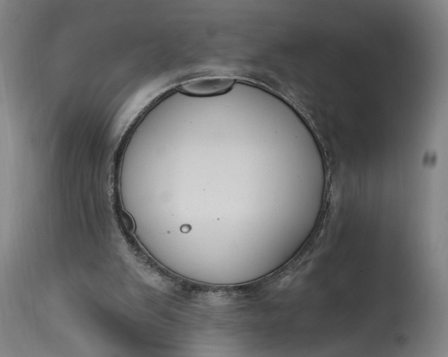 X0000115290103200911161643