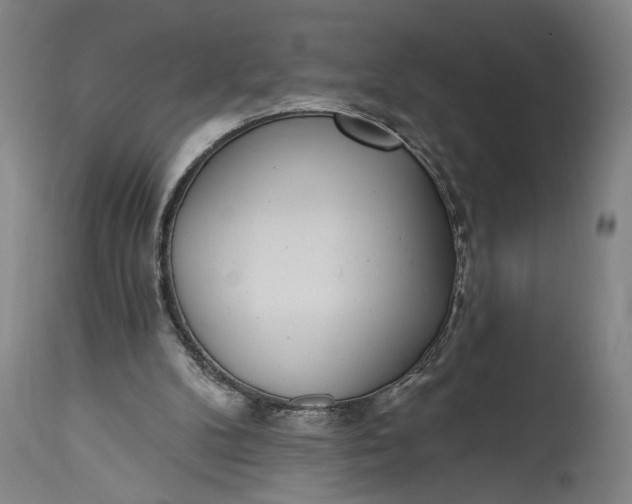 X0000115290104200911161643