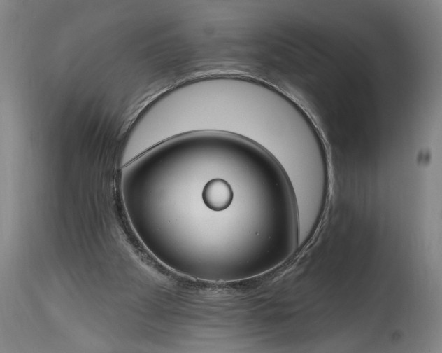 X0000115290105200911161643