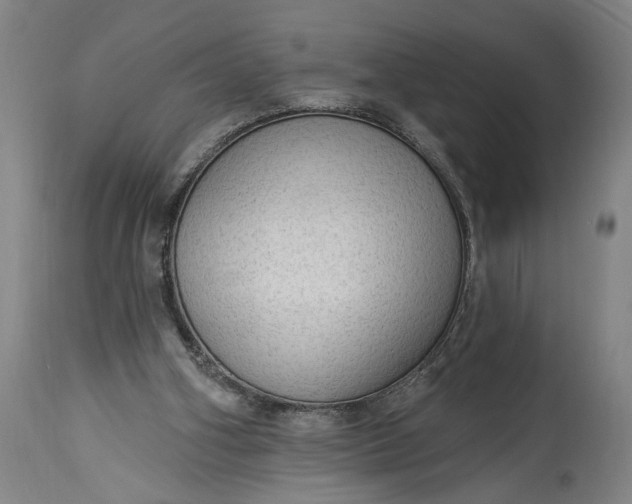 X0000115290106200911161643