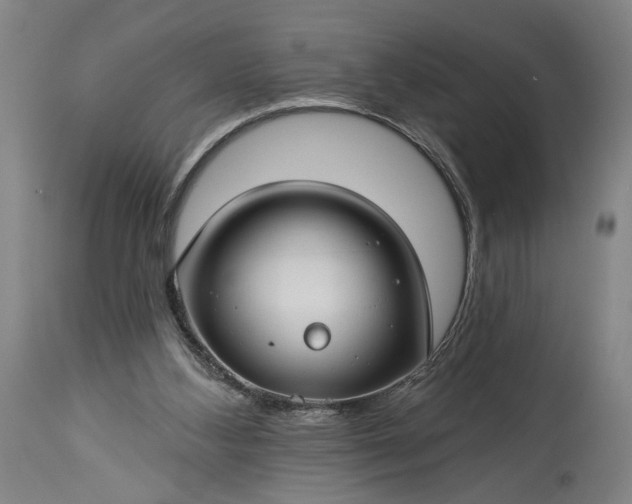 X0000115290108200911161643