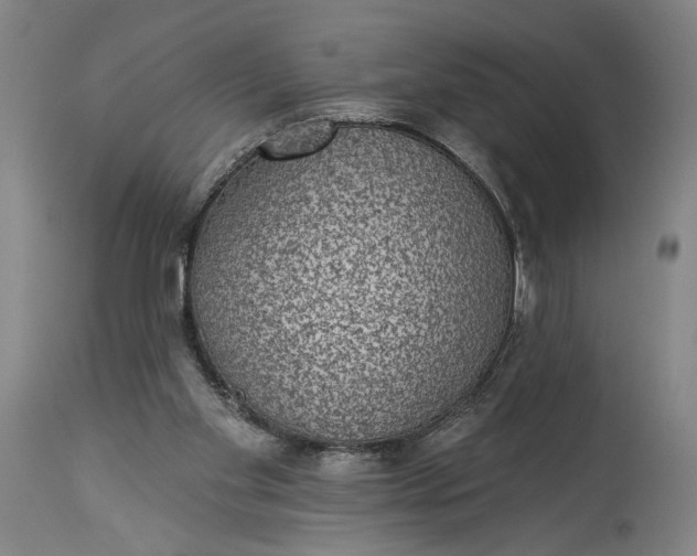 X0000115290109200911161643
