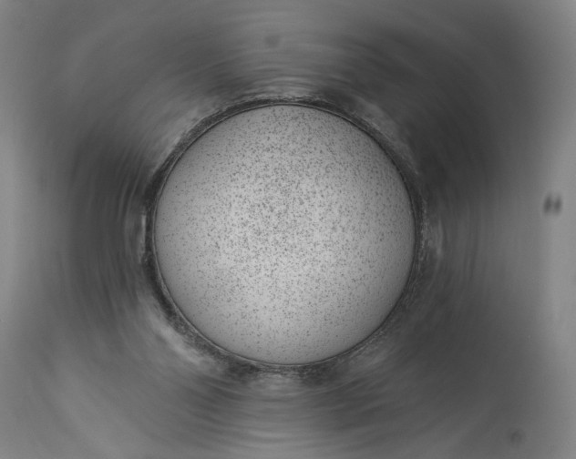 X0000115290110200911161643