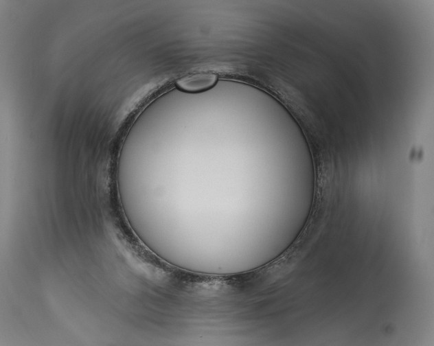 X0000115290112200911161643