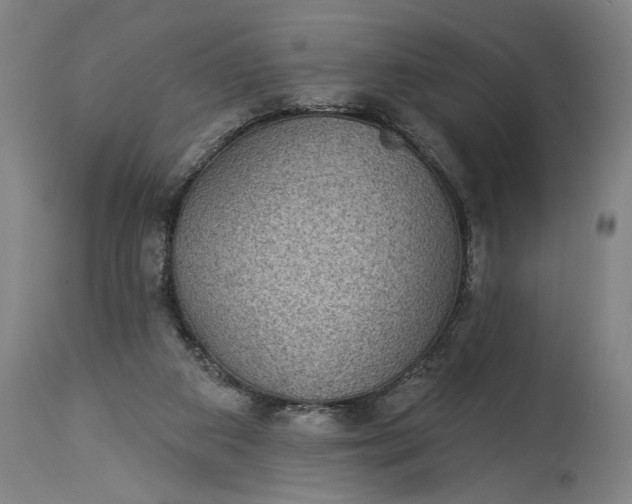 X0000115290113200911161643