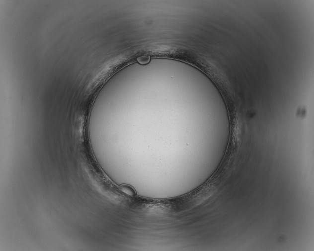 X0000115290115200911161643