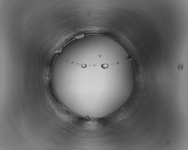 X0000115290119200911161643