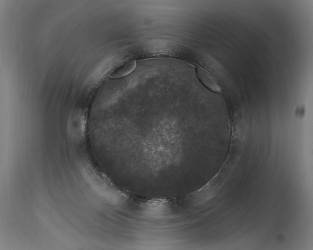 X0000115290124200911161643