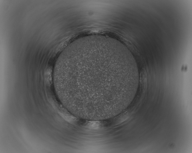 X0000115290127200911161643