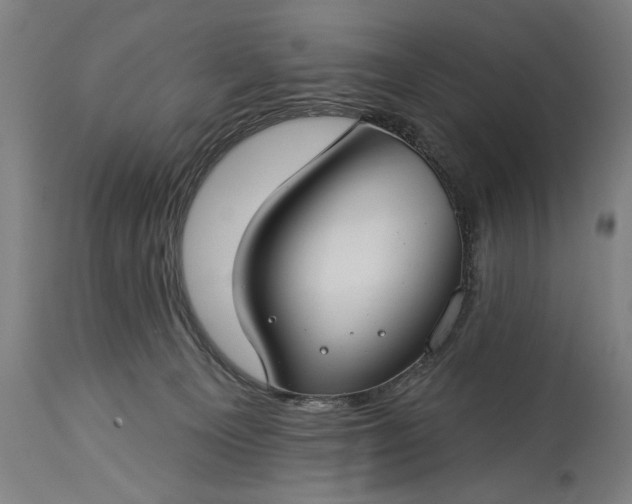 X0000115290129200911161643