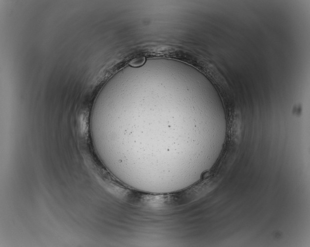 X0000115290131200911161643