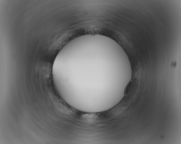X0000115290133200911161643